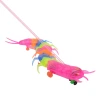 Electric rope centipede, large music universal luminous centipede, 2019 new model, popular toy wholesale at street stalls Item Picture